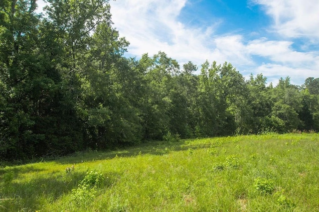 1145 Thurston Snow Rd, Good Hope, GA 30641 - view of wooded area