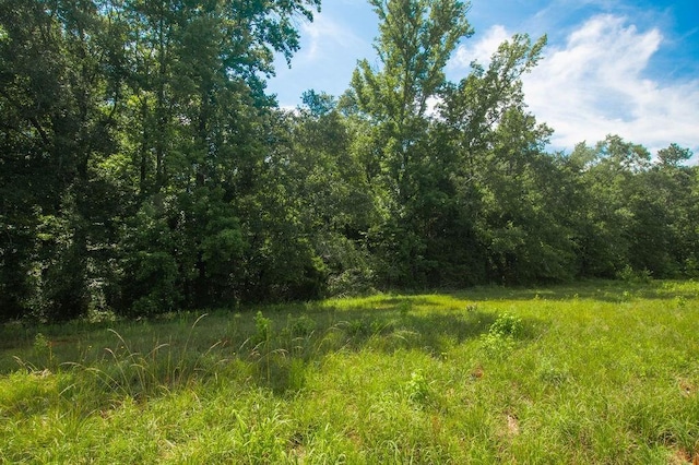 1145 Thurston Snow Rd, Good Hope, GA 30641 - view of woods
