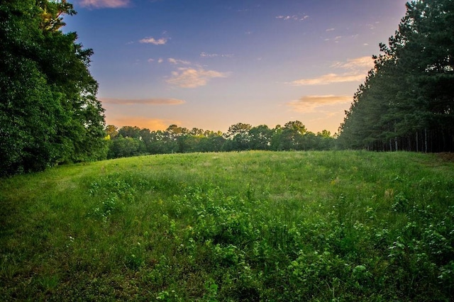 1145 Thurston Snow Rd, Good Hope, GA 30641 - view of local wilderness