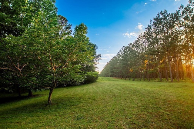 1145 Thurston Snow Rd, Good Hope, GA 30641 - view of grassy yard featuring a forest view