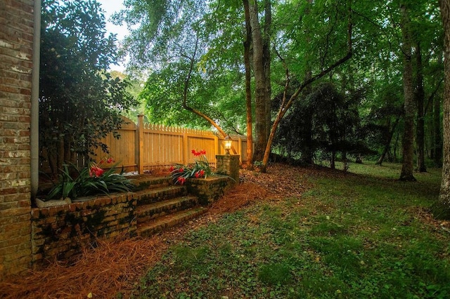 1145 Thurston Snow Rd, Good Hope, GA 30641 - view of yard