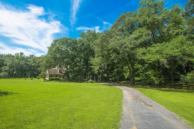 1145 Thurston Snow Rd, Good Hope, GA 30641 - view of home's community featuring a yard and a forest view