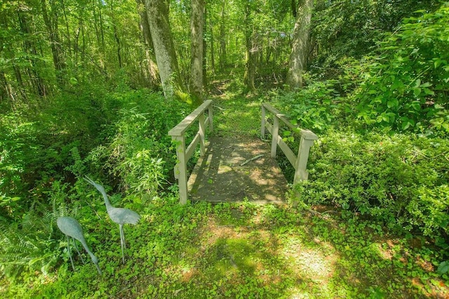 1145 Thurston Snow Rd, Good Hope, GA 30641 - view of local wilderness