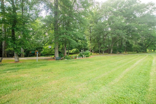 1145 Thurston Snow Rd, Good Hope, GA 30641 - view of green lawn
