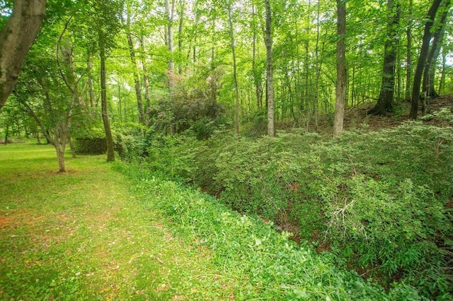 1145 Thurston Snow Rd, Good Hope, GA 30641 - view of wooded area