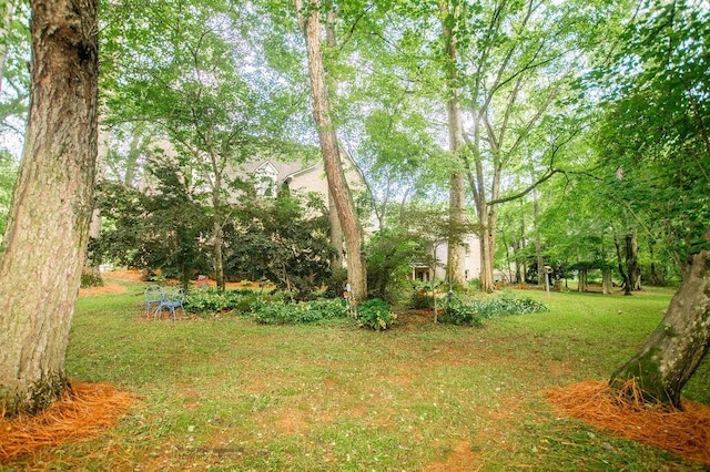 1145 Thurston Snow Rd, Good Hope, GA 30641 - view of grassy yard