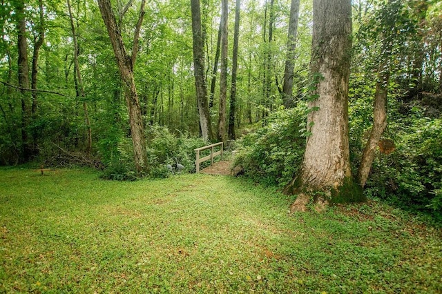 1145 Thurston Snow Rd, Good Hope, GA 30641 - view of grassy yard with a view of trees