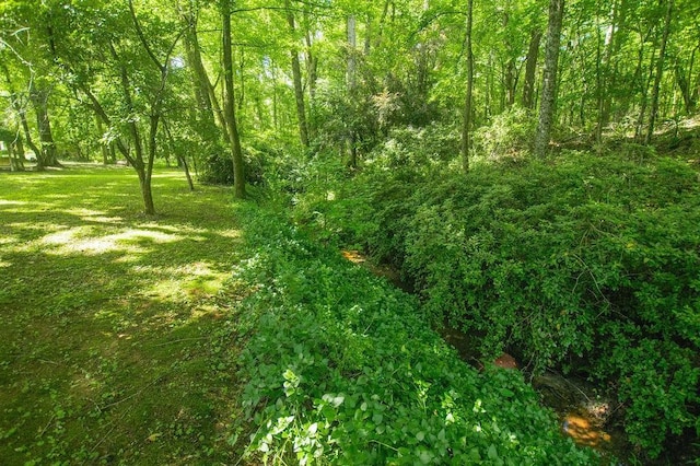 1145 Thurston Snow Rd, Good Hope, GA 30641 - view of local wilderness