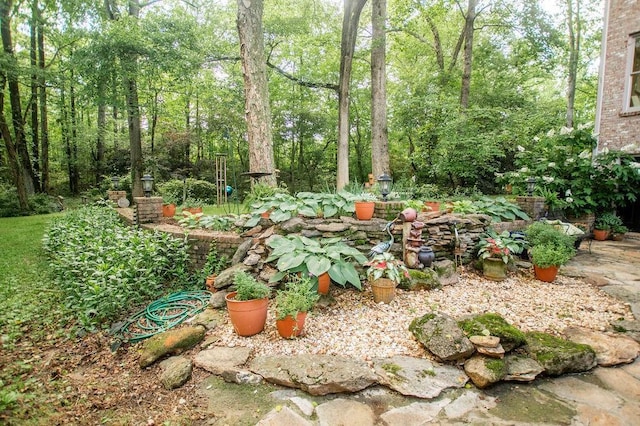 1145 Thurston Snow Rd, Good Hope, GA 30641 - view of yard