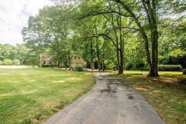 1145 Thurston Snow Rd, Good Hope, GA 30641 - surrounding community featuring driveway and a lawn
