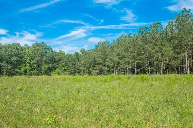 1145 Thurston Snow Rd, Good Hope, GA 30641 - view of woods