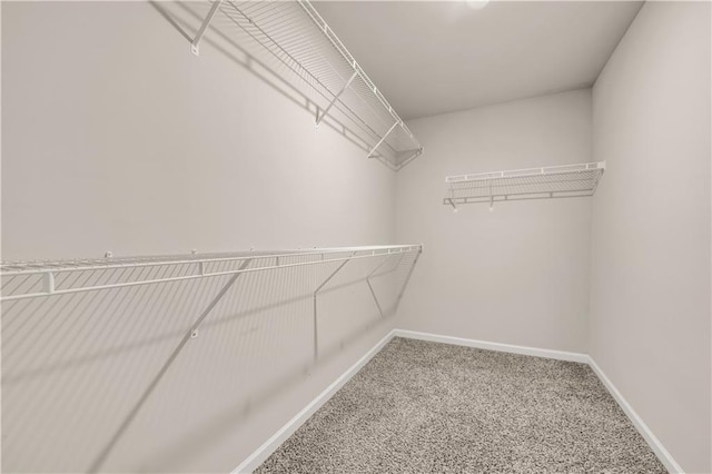 walk in closet featuring carpet flooring