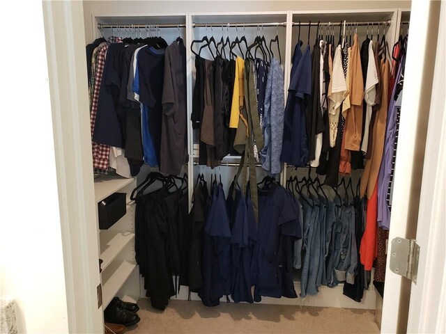 view of closet