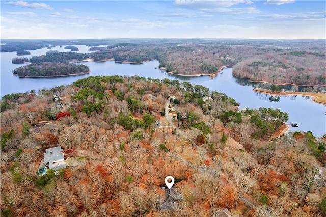 bird's eye view featuring a forest view and a water view