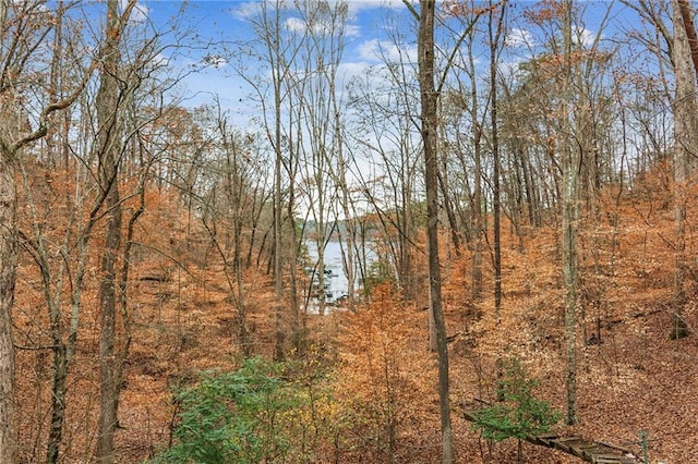 view of nature featuring a forest view