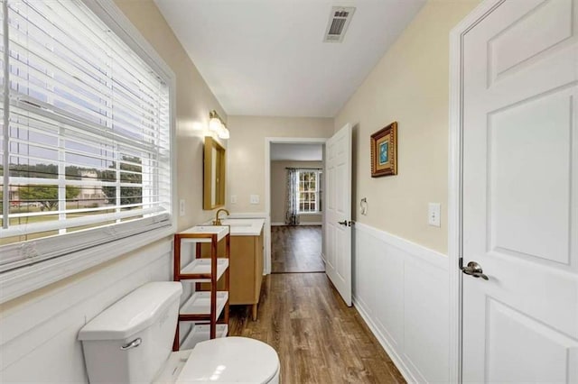 1141 Planing Mill Rd, Greensboro, GA 30642 - half bathroom with toilet, plenty of natural light, wood finished floors, wainscoting, and vanity