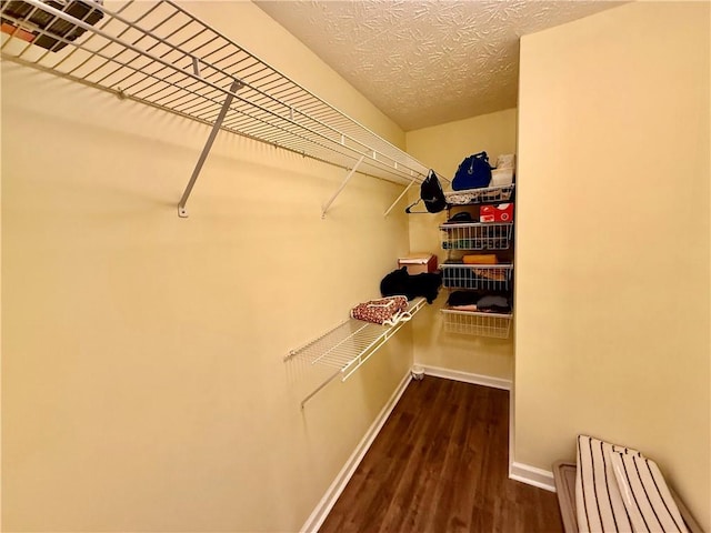 spacious closet with dark hardwood / wood-style flooring