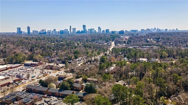 4282 Roswell Rd NE Unit G1, Atlanta, GA 30342 - drone / aerial view of skyline