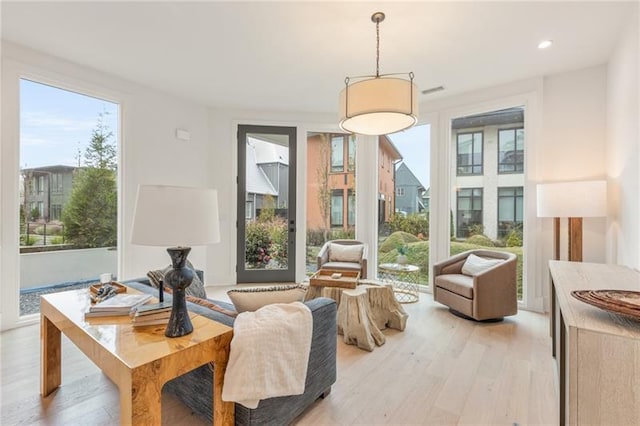 interior space featuring light hardwood / wood-style floors and a wealth of natural light