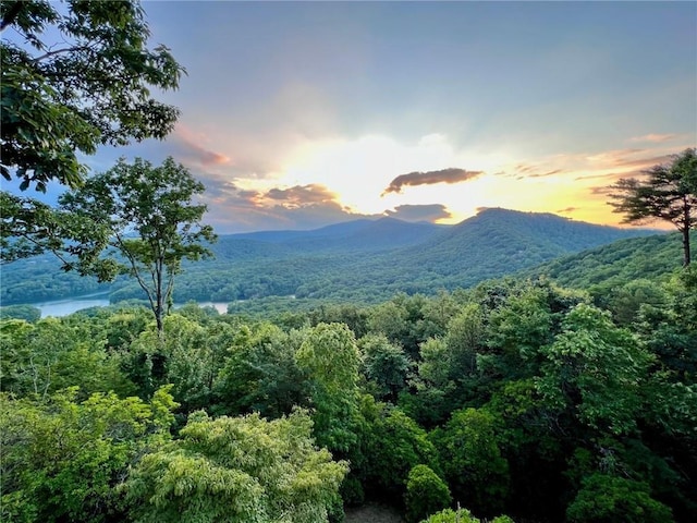 property view of mountains featuring a wooded view