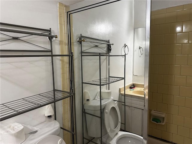 bathroom with walk in shower, toilet, and vanity