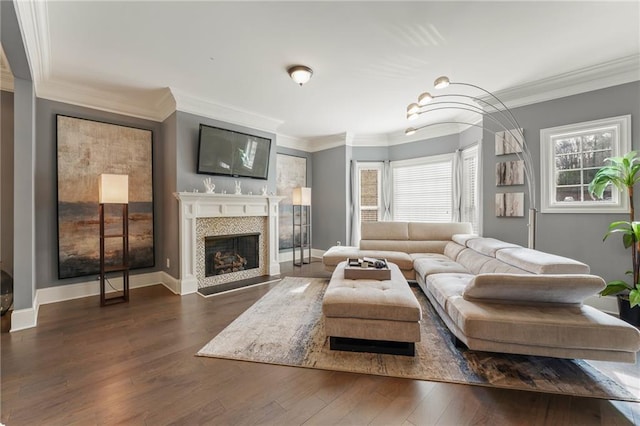 living room featuring crown molding and dark wood-type flooring