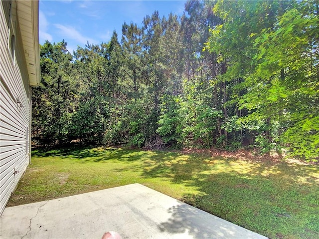 view of yard featuring a patio area