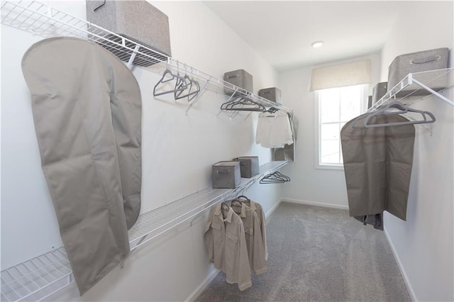 4923 Sudbrook Way Unit 233, Peachtree Corners, GA 30092 - spacious closet featuring carpet floors