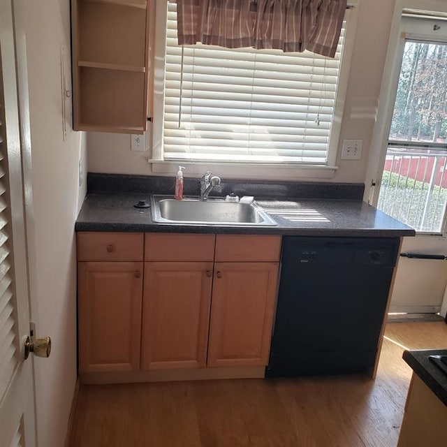 kitchen featuring dishwasher, sink, and light wood-type flooring