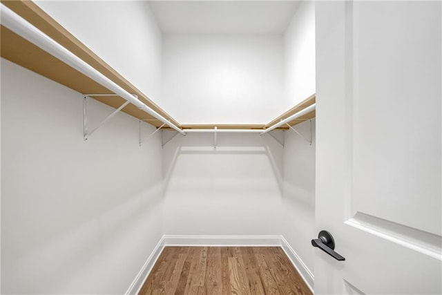 walk in closet featuring wood-type flooring