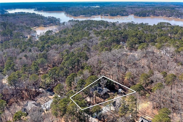 bird's eye view with a water view and a view of trees