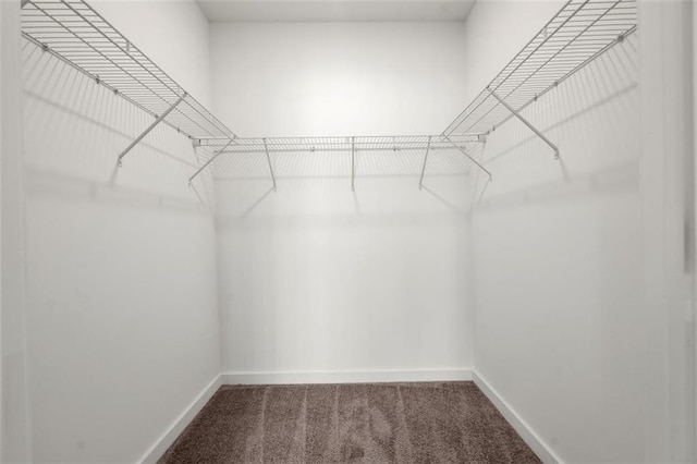 walk in closet featuring carpet flooring