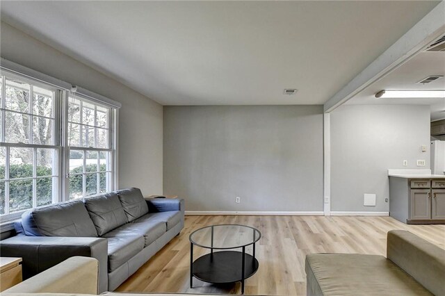 living room with light hardwood / wood-style flooring