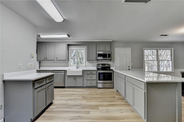 kitchen with appliances with stainless steel finishes, light hardwood / wood-style floors, gray cabinetry, and sink