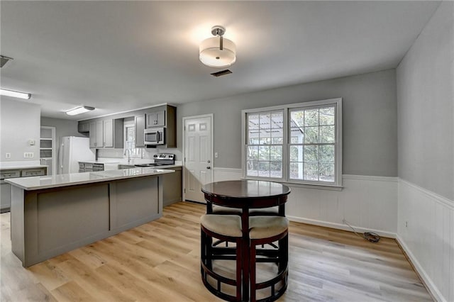 kitchen with stainless steel appliances, light hardwood / wood-style flooring, gray cabinetry, and sink