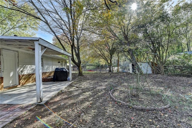 view of yard with a storage shed