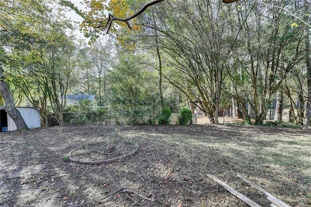 view of yard with a storage shed