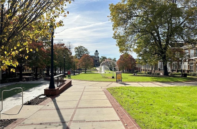 view of community with a yard