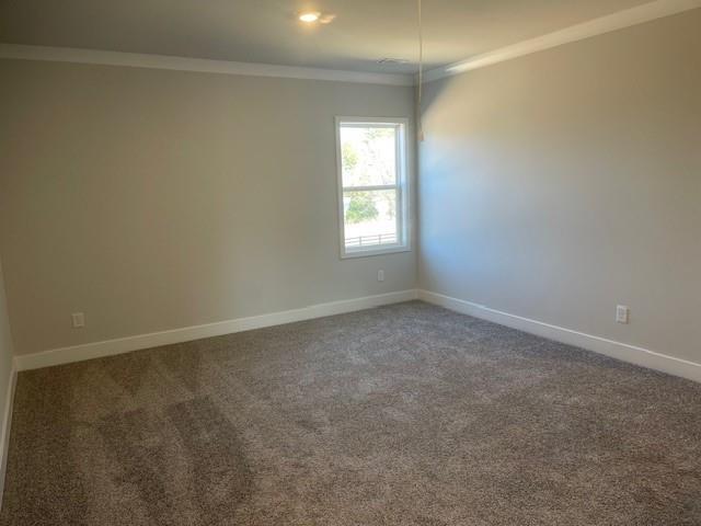 unfurnished room featuring ornamental molding, carpet, and baseboards