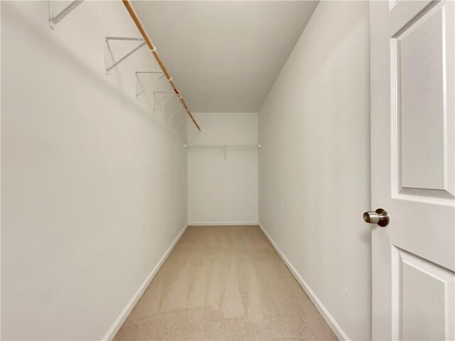 walk in closet with carpet floors