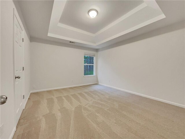 unfurnished room featuring light carpet and a raised ceiling