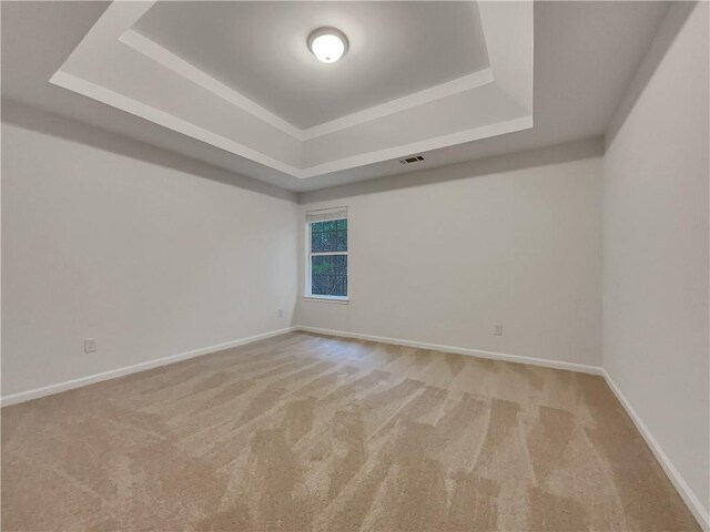 carpeted spare room featuring a raised ceiling