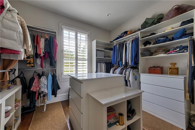201 Dovecrest Dr, Atlanta, GA 30305 - spacious closet with wood finished floors
