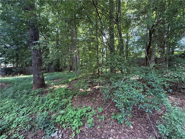 116 Cumberland Way, Dallas, GA 30132 - view of tree filled area