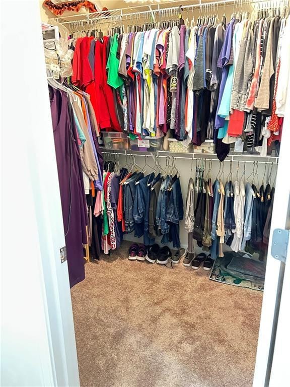 walk in closet featuring carpet