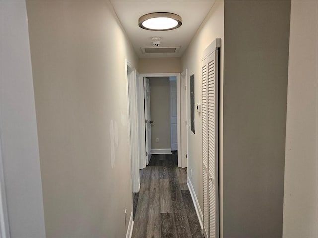 corridor with dark wood-type flooring