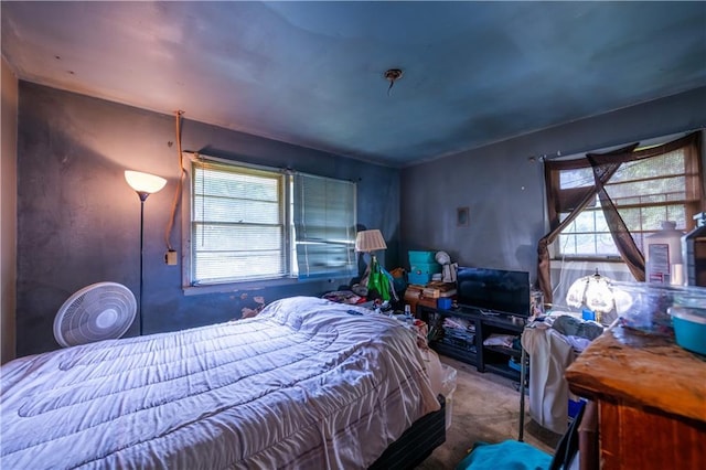 379 Utoy Cir SW, Atlanta, GA 30331 - bedroom with carpet floors and multiple windows