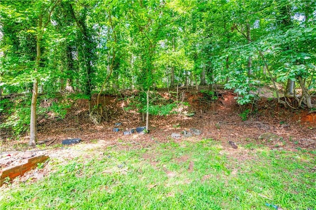 379 Utoy Cir SW, Atlanta, GA 30331 - view of yard