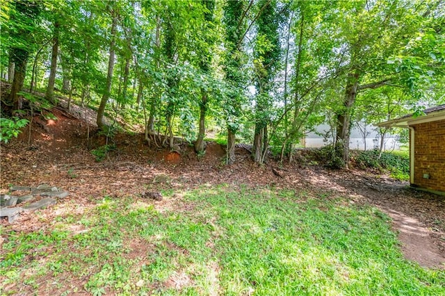 379 Utoy Cir SW, Atlanta, GA 30331 - view of yard