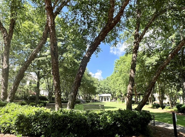 view of property's community featuring a lawn